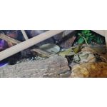 LAS FOTOS HECHAS CON ESTE TELÉFONO