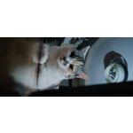 FOTO FATTE CON QUESTO TELEFONO