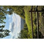 PHOTOS FAITES AVEC CE SMARTPHONE