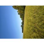 PHOTOS FAITES AVEC CE SMARTPHONE