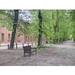 Imágenes de los usuarios Motorola Edge 50 Pro