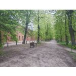 Imágenes de los usuarios Motorola Edge 50 Pro