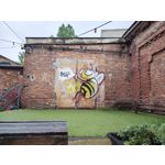 Imágenes de los usuarios Motorola Edge 50 Pro