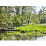 Imágenes de los usuarios Motorola Edge 50 Pro