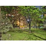 Imágenes de los usuarios Motorola Edge 50 Pro