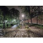 Imágenes de los usuarios Motorola Edge 50 Pro