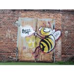 Imágenes de los usuarios Motorola Edge 50 Pro