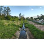 Imágenes de los usuarios Motorola Edge 50 Pro