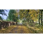 IMAGENS DESTE TELEFONE