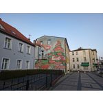 來自這款手機的圖片