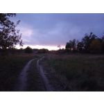 ФОТКИ СНЯТЫЕ ДАННЫМ МОБИЛЬНИКОМ