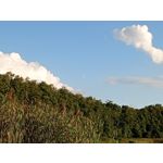 ФОТКИ СНЯТЫЕ ДАННЫМ МОБИЛЬНИКОМ