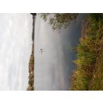 ФОТКИ СНЯТЫЕ ДАННЫМ МОБИЛЬНИКОМ