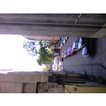 來自這款手機的圖片