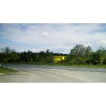 PICTURES FROM THIS PHONE PICTURES FROM THIS PHONE