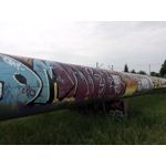 来自这款手机的图片