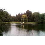 Foto's van de gebruikers myPhone Hammer Titan 2