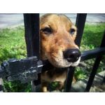 PICTURES FROM THIS PHONE