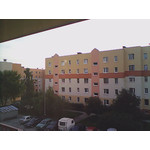 PICTURES FROM THIS PHONE