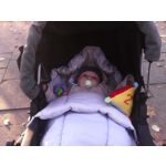 FOTO FATTE CON QUESTO TELEFONO