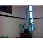 FOTOS AUS DIESEM HANDY