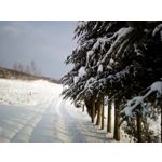 IMAGENS DESTE TELEFONE