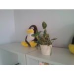 Pictures by this phone myPhone Q-Smart Elite