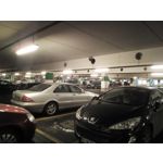 FOTO FATTE CON QUESTO TELEFONO