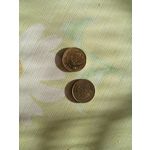 来自这款手机的图片