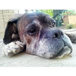 PICTURES FROM THIS PHONE