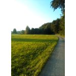 來自這款手機的圖片