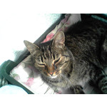 PICTURES FROM THIS PHONE