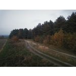 来自这款手机的图片