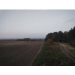 来自这款手机的图片