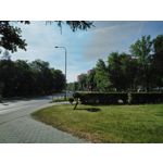 来自这款手机的图片