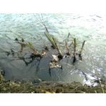 来自这款手机的图片