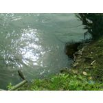 来自这款手机的图片