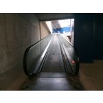 PICTURES FROM THIS PHONE