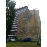 用户照片 Nokia 3 Dual SIM