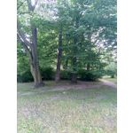 用户照片 Nokia 3 Dual SIM