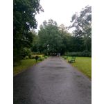 用户照片 Nokia 3 Dual SIM