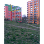 PICTURES FROM THIS PHONE