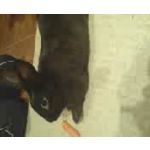 FOTOS AUS DIESEM HANDY