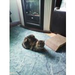 FOTOS AUS DIESEM HANDY