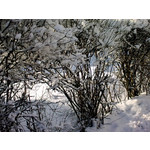 Imágenes de los usuarios Nokia 3600 Slide