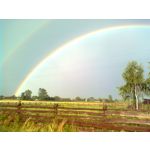 PHOTOS FAITES AVEC CE SMARTPHONE