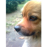 PHOTOS FAITES AVEC CE SMARTPHONE