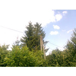 PHOTOS FAITES AVEC CE SMARTPHONE