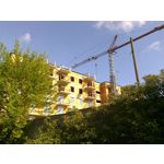 FOTO FATTE CON QUESTO TELEFONO