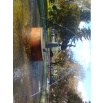 FOTO FATTE CON QUESTO TELEFONO